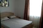 Apartament cu 2 camere decomandat în Ozana - 4