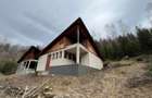 Vanzare casa de vacanta - Valea de Pesti - 8