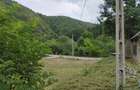Casa de caramida la rosu, 3765mp teren intravilan, Valea Ariesului, AB - 5