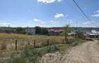 Teren intravilan Rachi?i 1513 mp - toate utilita?ile - 1