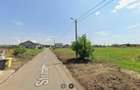 Teren de vanzare in Dudestii Noi, Timis | Direct Proprietar - 3
