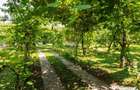 Casa/Vila tip conac, cu anexe si livada de vanzare Vale... - Valenii De Munte (Prahova) - 7