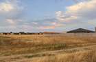 Proprietar | Teren intravilan 1.362 mp | Zona Selgros | Str. Perilor | Deschidere 30 m | Dezmembrabil - 2