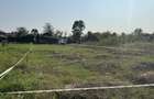 Teren intravilan linistit langa padure bucov mica roma - 2