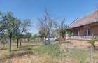 Casă cu 6 camere cu Teren 1480 Mp în Iecea Mare
