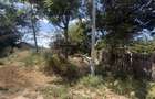 Teren Intravilan De Vanzare 3.200 MP DRIDU-SNAGOV IALOMITA - 1