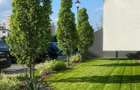 Apartament 2 camere de inchiriat | Sector 3 - 7