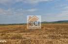 Teren intravilan 50.000 mp, Bacau, Soseaua Hol - 1