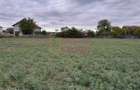 DE VANZARE TEREN 2000 MP - COSERENI( il ) - 10