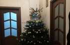 Casa/Vila de inchiriat TINERETULUI, P+ E, 2 CAMERE, Centrala prorpie - 8