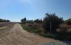 Teren de 780 mp, în Berceni - 3