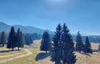 APARTAMENT DE VACANTA  - POIANA BRASOV - 6