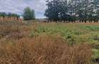 Teren intravilan de 1508 mp cu utilitati - Ianova - 8