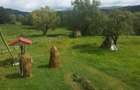 Vanzare loc de casa, teren cu utilitati Galesu Arges 5000mp Intravilan