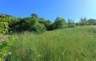 Vila din Gradina Racoti / Conac 5 camere / 6000m2 - 19