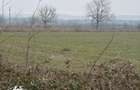 Teren de 9000mp, la intrarea in Filiasi ,la 300m de str. Rac - 6