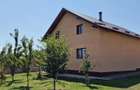 Casă cu Teren 3200 Mp în Ruginoasa - 4