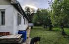 Casă cu 2 camere cu Teren 2500 Mp în Peșteana - 12