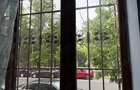 Apartament Cismigiu cu vedere directa spre parc - 9