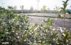 Apartament 3 Camere | Dotari Premium | Parc Privat