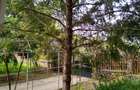 Vand casa in Cuvin com.Ghioroc jud.Arad - 4