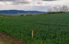 PF. Vand teren in Luna de jos 4,5 hectare,cu C.F - 5