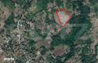 Teren extravilan 1,5ha Dobrovat Iasi - 2