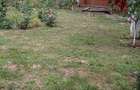 Casa + teren intravilan de vanzare Orbeni, Bacau