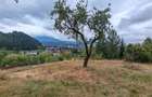 Teren intravilan cu vedere panoramica Sacele, Brasov