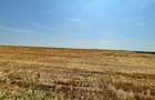 Vand teren agricol 103 ha compact in Judetul Timis