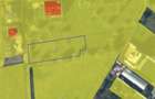 Teren intravilat| Zona rezidentila 1156 mp-TURNISOR - 5