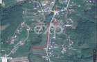 Teren intravilan 21.000 mp de vanzare Suseni, Comuna Bogati, Judet - 10