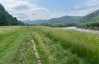Teren de vanzare, Voronet, Suceava - 2