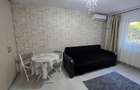 Salajan: apartament simpatic cu loc de parcare isi cauta chirias - 6