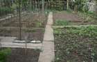 Vand Casa zona Calea Dumbravii-strada Bacovia 585.000 - 2