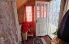 De vanzare casa batraneasca in Horia, teren de 700mp, 3 anexe, 55000e - 8