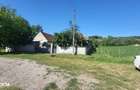 Casa cu 3 camere si pivnita, 3600mp teren - 4