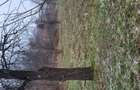 Vand teren ,zona mirifica - 1