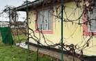 Casa batraneasca cu anexe si teren in Viisoara, intravilan - 7