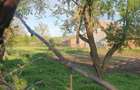 Casa de vanzare, 3 camere, curte mare, sura si grajd, teren 2600 mp - 3