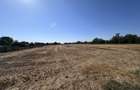 Teren de vanzare | 5.208 mp | Str. Bucegi, Creata Dascalu - 5