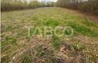 Teren intravilan pentru casa zona linistita 550 mp front 21 m Cisnadie - 4
