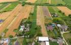 Teren generos de 5.292 m.p. in Silistea (Todiresti,Vaslui) - 3