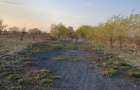 Vand 9 ha teren agricol cu 1,4 ha luciu apa
