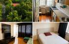 Apartament de vanzare 2 camere, Dristor , Camil Ressu , 5 min Metrou , ParkLake , Proprietar - 9