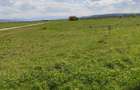 Teren, 6000mp, Simeria - 2