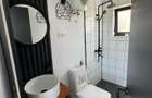 Vand tinyhouse cabana Sirnea Fundata - 6