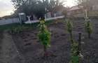 Vanzare casa iohanisfeld!! - 10