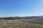 Terenuri Tome?ti Dealul Crucii | panorama | intravilan - 8
