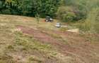 Tere de vanzare in sat Damis com Bratca - 1